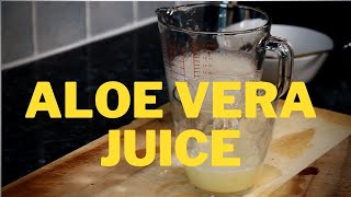 ALOE VERA GINGER LEMON JUICE | HOW TO MAKE ALOE VERA JUICE NATURAL BENEFITS CURES Chef Ricardo !