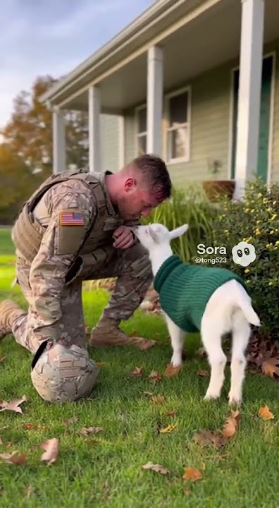 Pet Goat in Pajamas Ignores Soldier Dad for a SNACK! 🐐😂