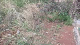 story wa ke kuburan ibu