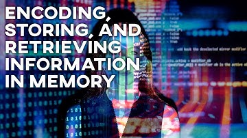 The Concept Of Encoding, Storing, And Retrieving Information In Memory