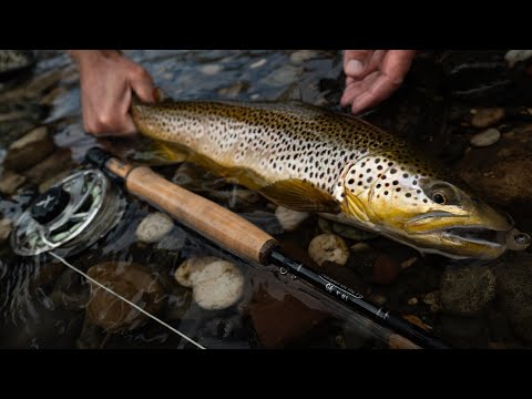 The Origin of Pescador on the Fly | How We Built the Best Value in Fly Fishing