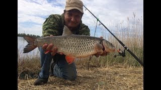 #30 Повезло на Рыбалке Бешеный Клев Ловля с Берега Голавля и Карася на Донку Фидер