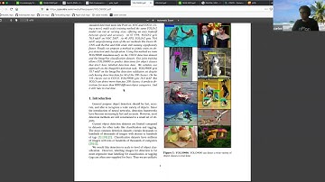 Frustratingly Simple Few-Shot Object Detection