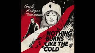 Snoh Aalegra - Nothing Burns Like The Cold (feat. Vince Staples) (432hz)