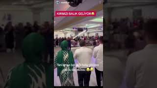 Kırmızı Balık Halay 😆 Irmızıbalık Irmızıbalıkgolde