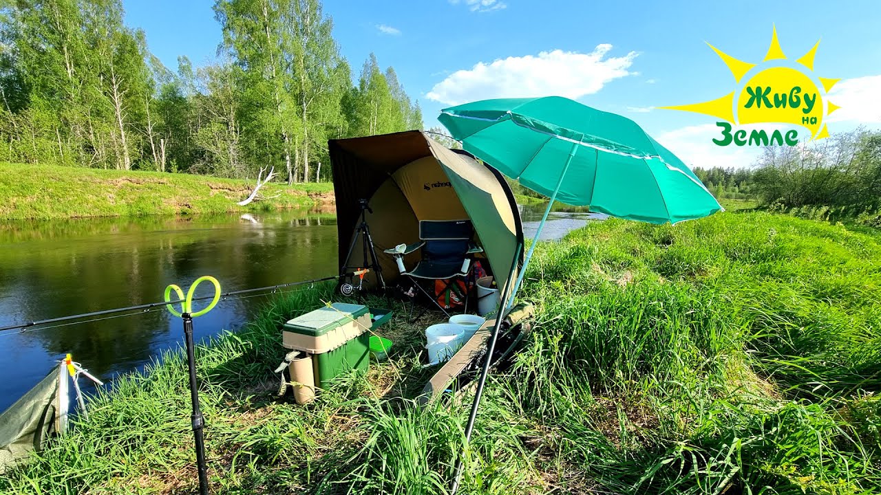 Мала река, да рыбы полно! 1 Рыбалка на Фидер 2025