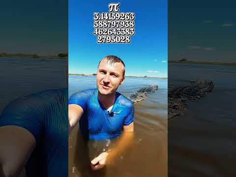 Суперпамять крокодилов: ПИ за 10 секунд! #УдивительныеФакты