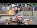 人口より猫が多い猫島に行ったら、想像以上に猫まみれだった...