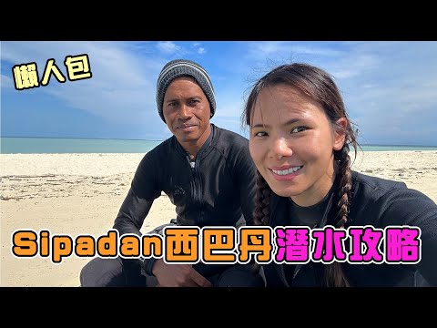 世界前十大潛點！多少錢？多久前預約？一日限定200人入島？完整SIPADAN旅遊攻略！