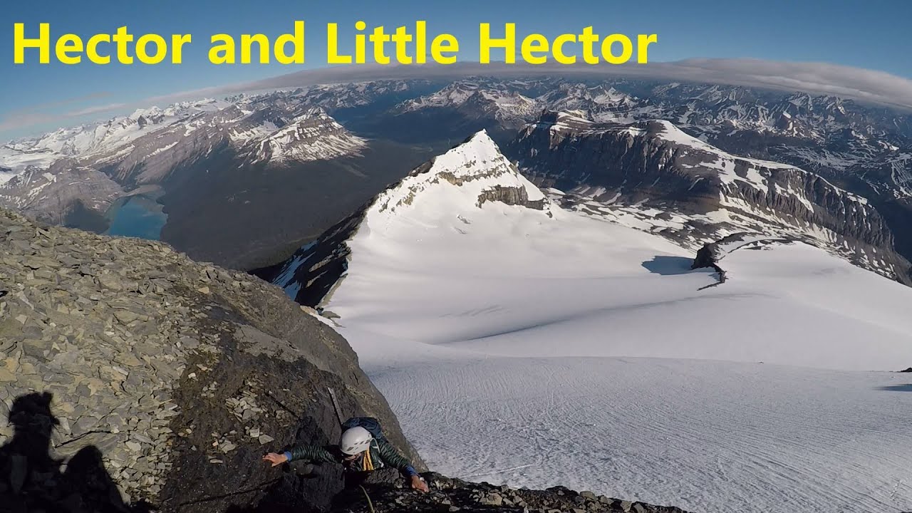 Hector and Little Hector