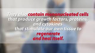 Are Umbilical Cord Cells the Same as Amniotic Fluid?