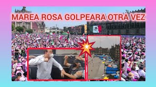 MIRA COMO PROVOCADORES DE LA MARCHA ROSA QUIEREN SACAR A LA FUERZA A MAESTROS DEL ZOCALO