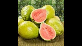 Growing Exotic Fruits in Canada