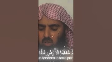 سورة عبس القارئ الشيخ محمد اللحيدان surah abasa mohamad alhuaidan