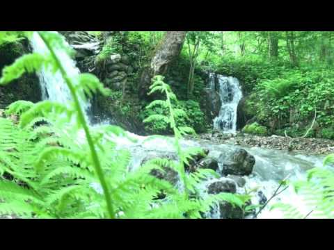 (2017 Klip ) HİLMİ YEREKABAN - YALAN DUNYA BOŞUNA