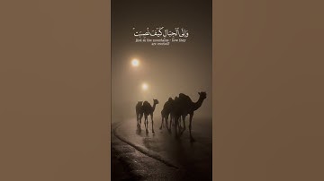الآيات (17-21) من سورة الغاشية