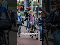 How to Travel in the Netherlands: Transport Guide for Expats &amp; Students