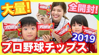 箱買い】2019プロ野球チップスを大量に開封！ラッキーカードは出るのか
