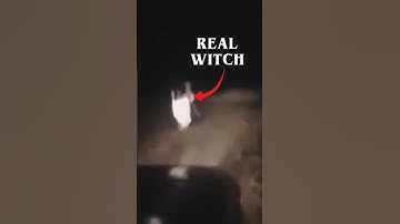 I Found a REAL Witch
