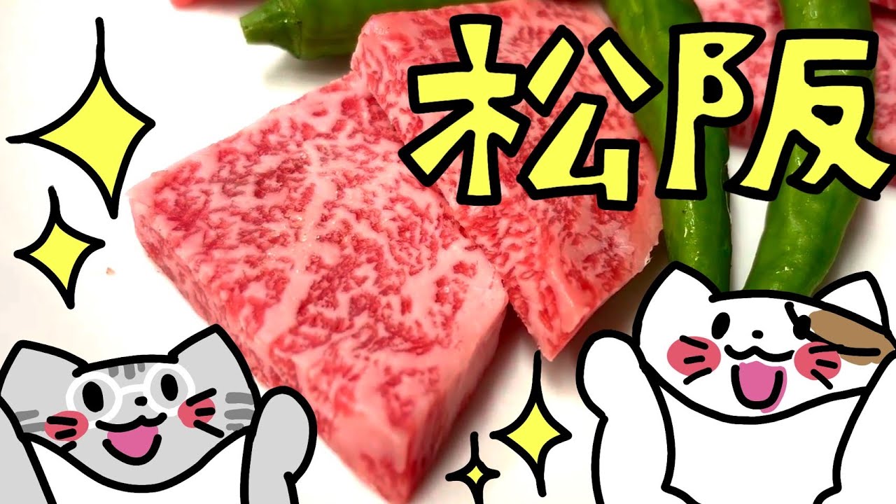 【松阪観光　グルメ旅】松阪牛堪能！松阪駅周辺おすすめスポット紹介