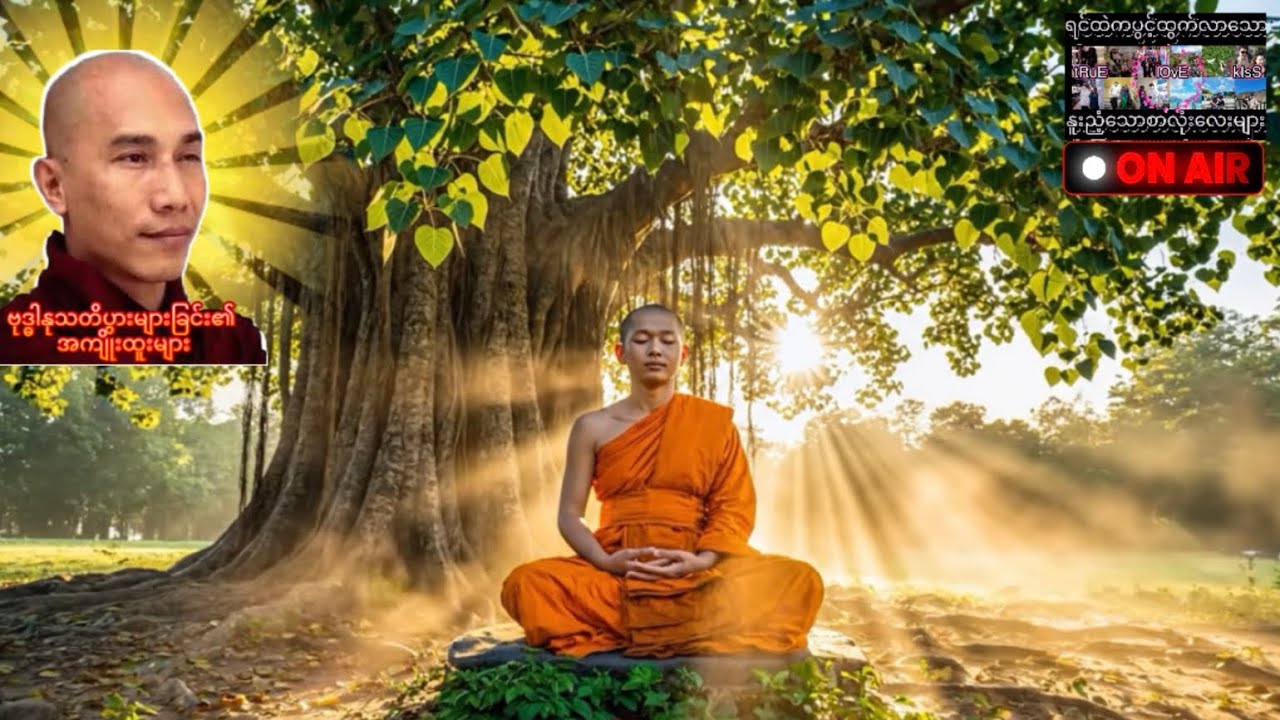 🌸ဗုဒ္ဓါနုသတိပွားများခြင်း၏ အကျိုးထူးများ🌸 #သစ္စာရွေစည်ဆရာတော်