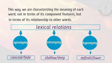 English Semantic Chapter V (Lexical Relation)