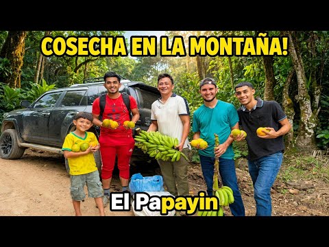 The mountains give us pure gold, country life is wonderful with incredible nature