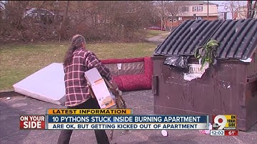 Aquarium holding 10 snakes catches fire in Mt. Airy