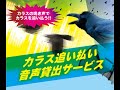 クロウラボの「だまくらカラス」のご案内