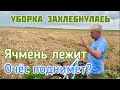 Уборка захлебнулась | Ячмень лежит | Очесывающая жатка поднимет?