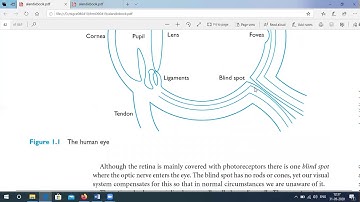 Input Output Channels