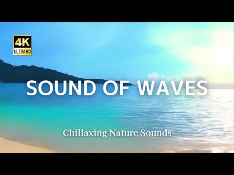 Soothing sound Sound of waves Healing sounds Voice of the sea Okinawa trip It's like a private beach
