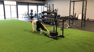 Exercise Demo: Sled Bear Crawls