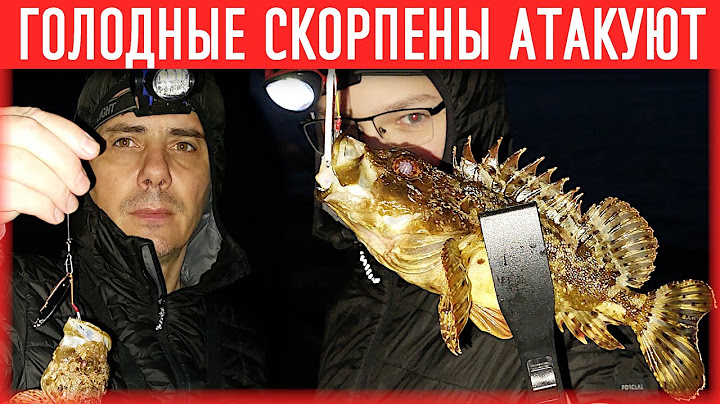 Скорпена на пилькер Ставрида на пилькер Ставрида на самодур  Ставрида как ловить Снасть на скорпену