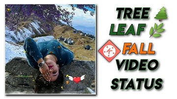 How To Credit Tree 🎄 Leaf 🌿 Fall Video Status | WhatsApp Status | Dekhe Sikhe