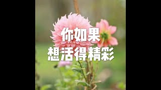 201811 你如果想活得精彩50882