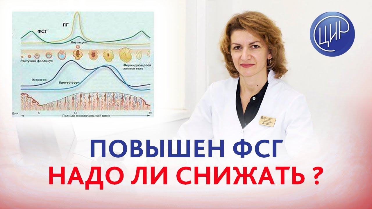 повышение ФСГ у мужчин