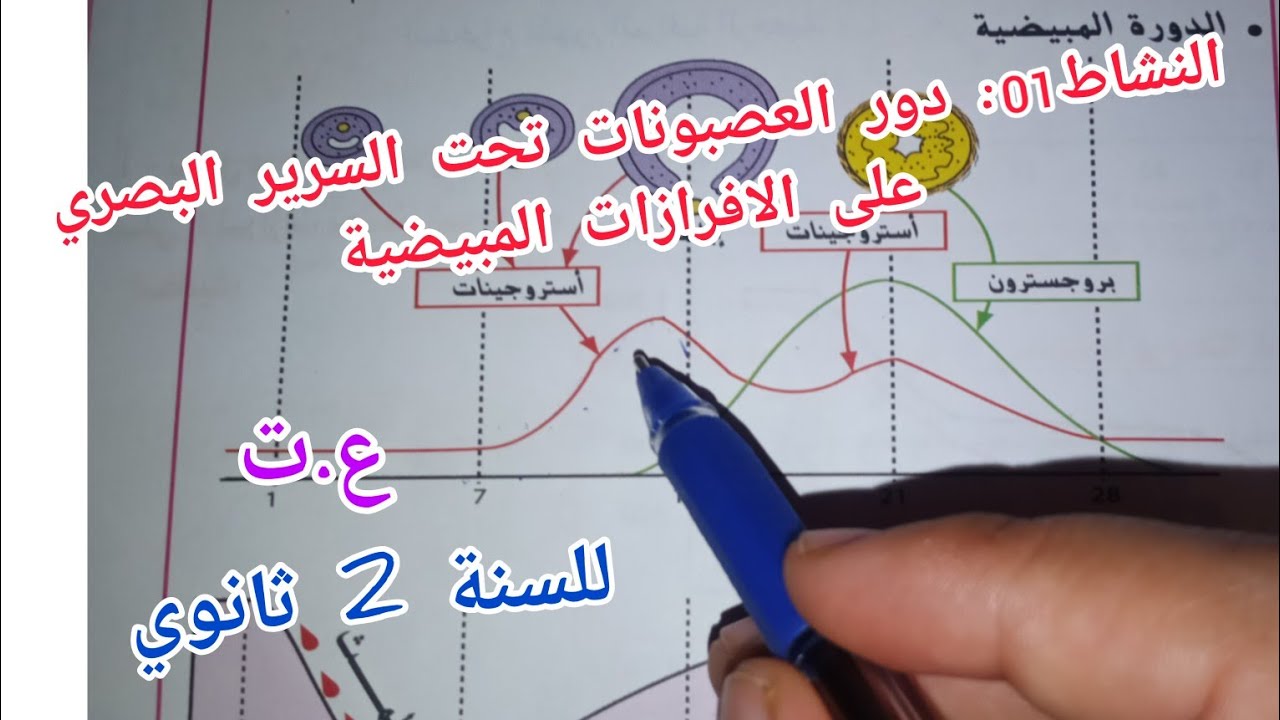 النشاط01: دور العصبونات تحت السرير البصري على الافرازات المبيضية للسنة 2ثانوي (ش.ع.ت)