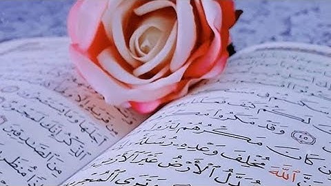 سورة الروم كاملة بصوت القارئ ماهر المعيقلي❤️تلاوة خاشعة و مريحة🌺