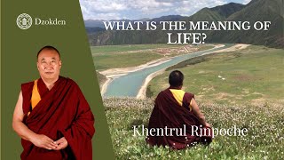 What is the meaning of life? | Khentrul Rinpoche