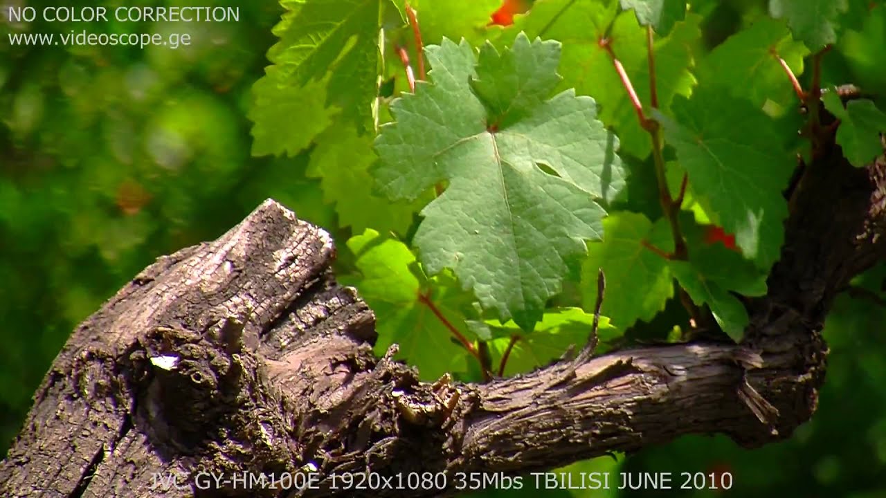 VIDEOSCOPE TEST OF JVC GY-HM100E