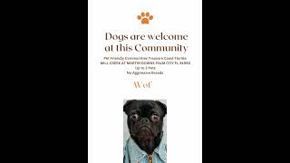 Dogs are Welcome at this Community