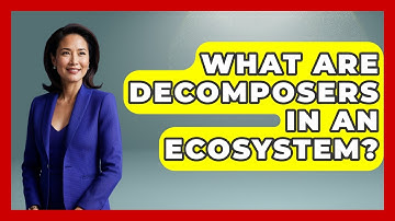 What Are Decomposers In An Ecosystem? - Chasing Big Fish