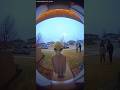 Bro sneezed and released the whole fleet 👽🚀💀 #RingCam #Alien #UFO #shortvideo