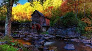 Serene Water Flow with Autumn Scenery and Beautiful House