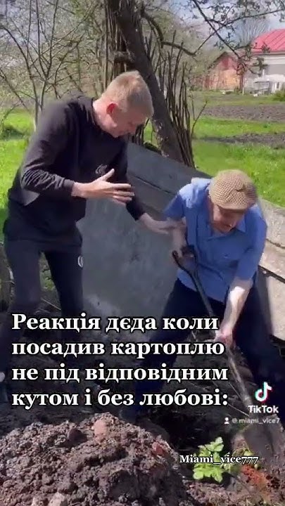 Посадка картоплі #картошка #картопля #бульба #город #робота - YouTube
