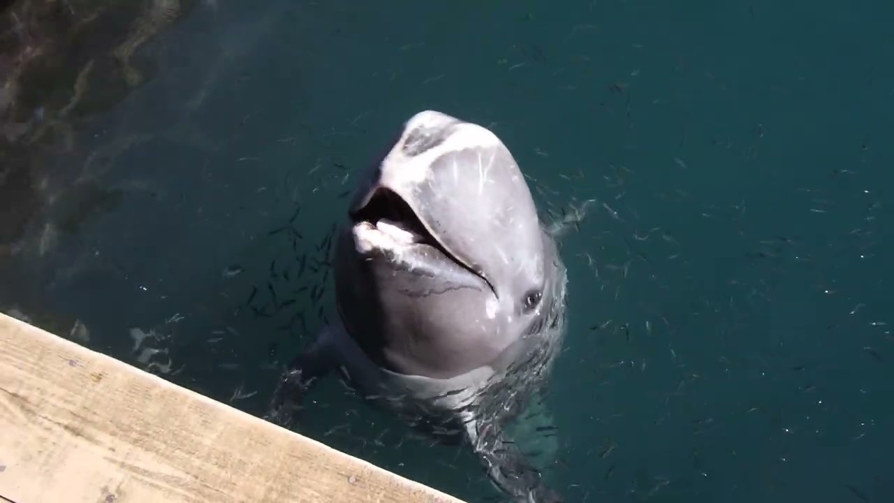 Cb9s Kydpwvltm Cb9s Kydpwvltm