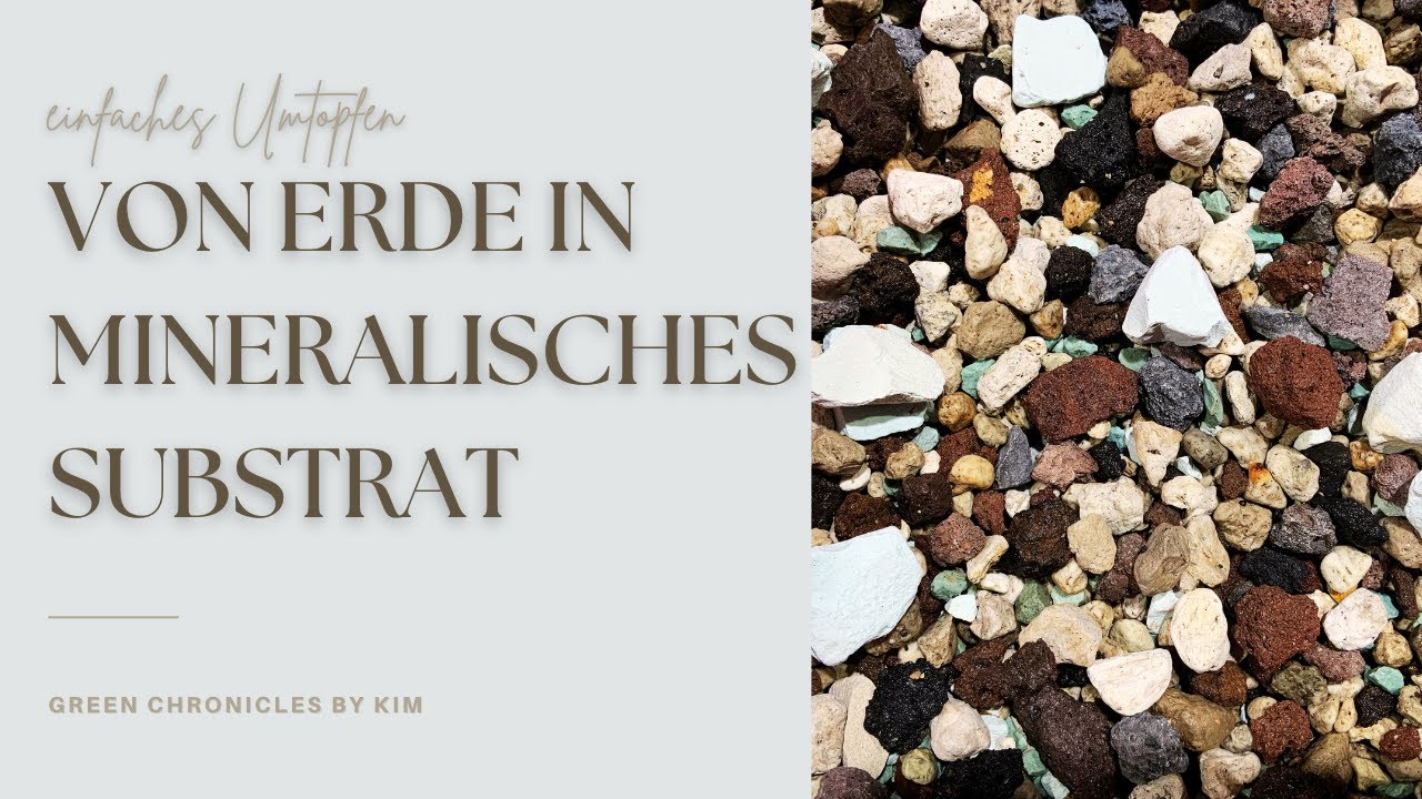 Von Erde in mineralisches Substrat