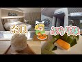 【奈良ぶらり旅】奈良名物！柿の葉寿司を堪能！おちゃのこ・いろはグランホテル近鉄奈良駅前・柿の葉ずし 平宗【ゆっくりvlog旅行】奈良県観光地巡り一人旅part13・グルメ・ホテル・観光スポットを紹介！