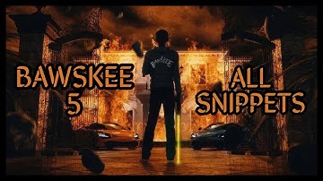 Bawskee 5 ~ All Unreleased Snippets | Updated November 2022